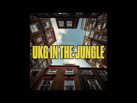 Zed Bias - Neighbourhood (Neekeetone Jungle Flip) [FREEDOWNLOAD]