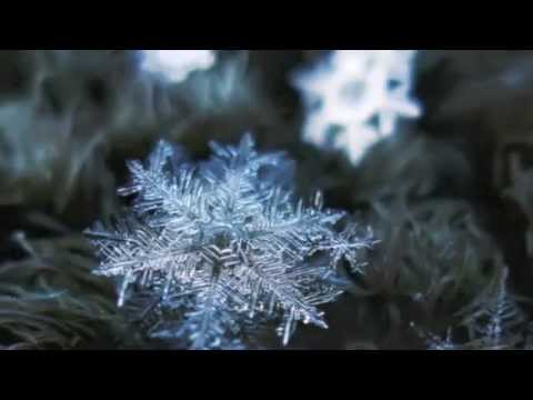 Amazing HD images of snowflakes with original score  by Tabitha Elkins