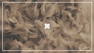 - 碧那海霧(MigiriAona) - 翼