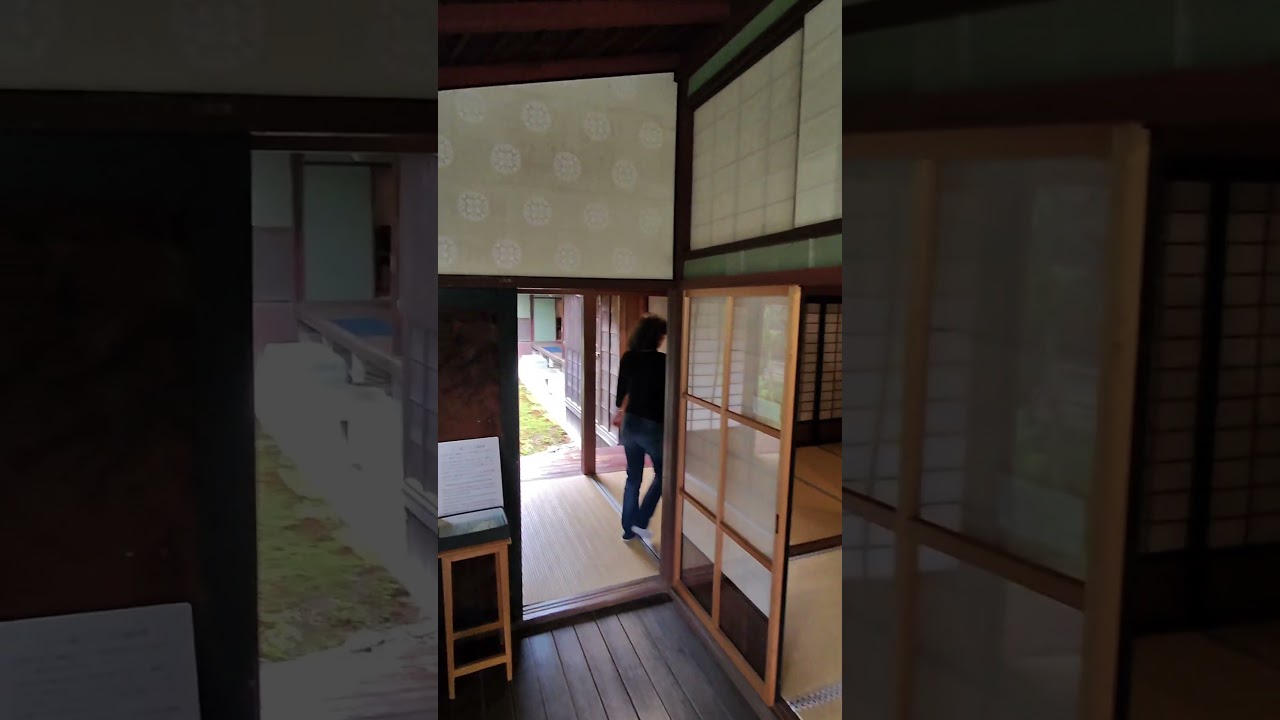 YouTube Short thumbnail