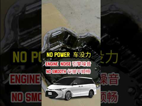 LEXUS TOYOTA  VELLFIRE | ALPHARD Engine Knocking Noise (Balance Shaft Cracked )