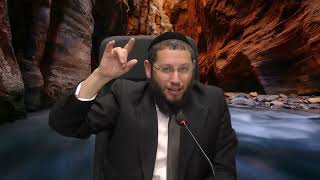 פרשת וישב - ממי לבקש טובות – הרב אייל אנונגר
