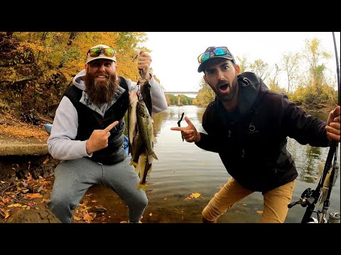 These INVASIVE BASS are TAKING OVER The River....So We ATE Them! (CATCH and COOK!)