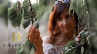 DOLCEPURA® Cosmetics - Prunus Amygdalus Dulcis properties