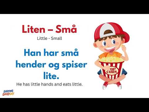 Learn Norwegian Fast: 1-Hour Full Beginner Tutorial