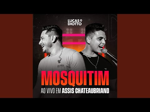 Mosquitim - Lucas e Diotto