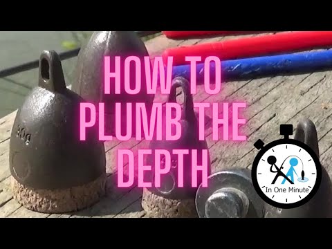 How to Plumb the Depth in One Minute