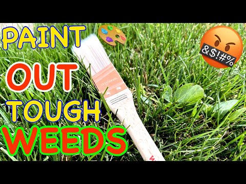 How To ￼Remove Weeds OR Grasses Weed Killers DO NOT TOUCH!