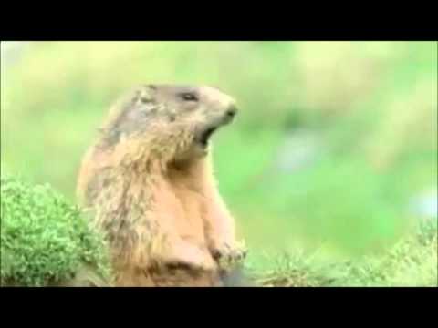 kiaryhepburn’s Video 114476737078 5EPjN0M9e3c