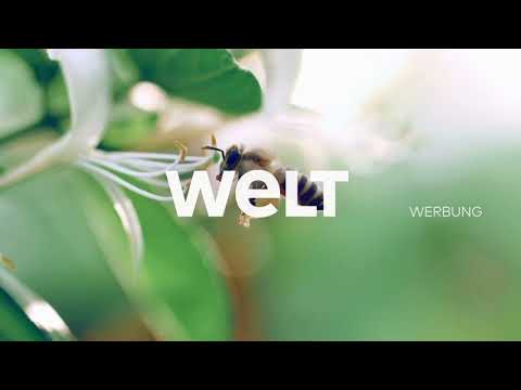 WELT Werbetrenner – Bienenbestäubung (seit Mai 2021)