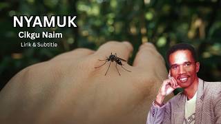 Download lagu Cikgu Naim - Nyamuk | Lirik & Subtitle mp3