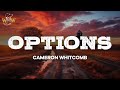 Cameron Whitcomb - Options (Lyrics)