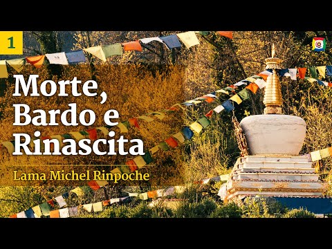 Formazione di aerobic di perdita di peso in condizioni di casa di video Molto voglio perdere il peso 10 kg