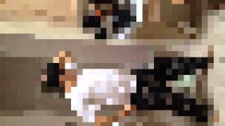 Airplane &#39;96 we love you P5