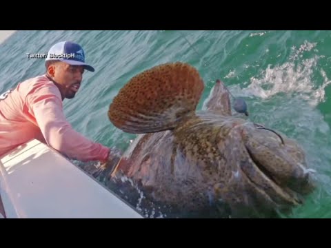 Wilson Chandler Reels in a 350-Pound Grouper