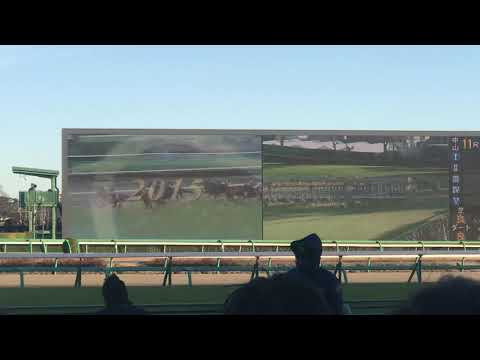 2018年 ホープフルステークス サートゥルナーリア