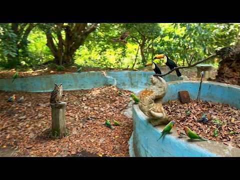 Casa Abandonada 🏚️ Piscinas Abandonadas El Nilo