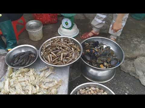 Market in the countryside /Natural life vn