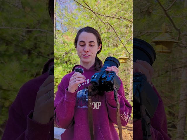Vídeo relacionado con Panasonic LUMIX DC-S5 II, Cámara Sin Lente De Marco Completo, Sin Espejo con Lente de 20-60 mm F3.5-5.6, 4K 60P y 6k 30P Grabación, Pantalla Movible, Wi-Fi, Negro