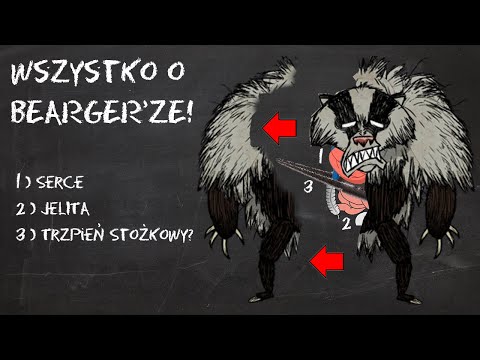 Wszystko o BORSUKONIEDŹWIEDZIU!