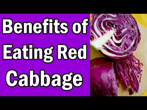, title : '7 Benefits of Eating Red Cabbage [They Will Shock You]