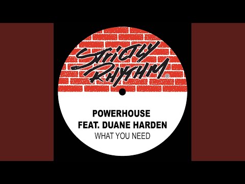 What You Need (feat. Duane Harden) (Richard F. Angels Mix)