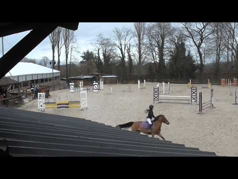 CE cyclamens / Téa Razzia 01.03.15