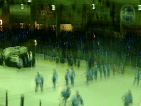 EISBÄREN IN KASSEL TEIL  1