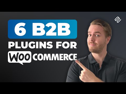 Plugins Every B2B Seller Should Have for WooCommerce
