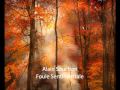 Alain Souchon-Foule Sentimentale 
