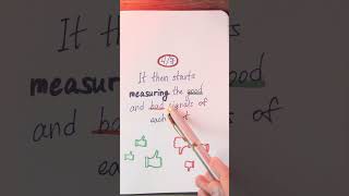 How The Instagram Algo REALLY Works