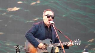 Elvis Costello - ASCENSION DAY @ Ohana Festival 08-27-16