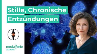 Stille chronische Entzündung: Darauf solltest Du achten 🩺​ Dr. Barbara Miller