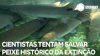 Miniatura do vídeo