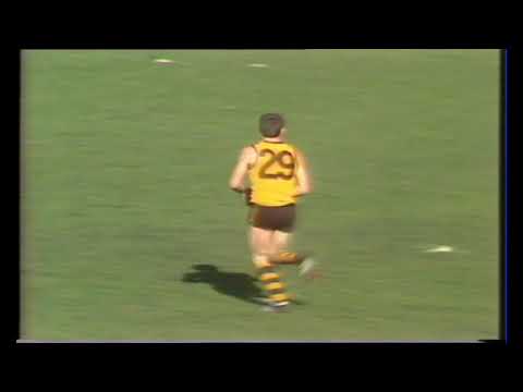 1983 Round 20 Carlton Highlights - Carlton vs Hawthorn