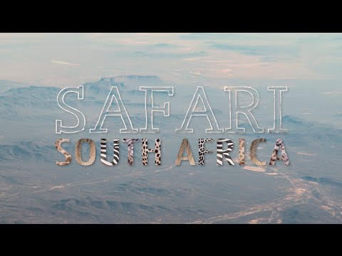Safari South Africa | A Time-Lapse Film in 4K, by Tyler Fairbank