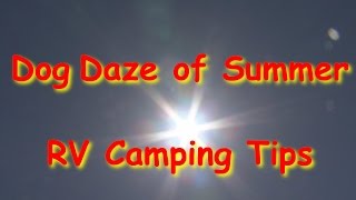 Dog Daze of Summer RV Camping Tips