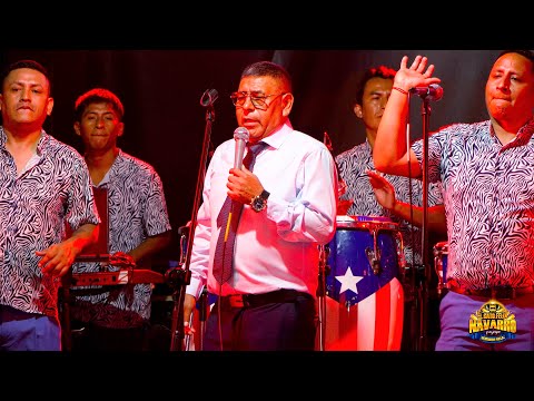 LA VENTANA MIX...EL GATO FELIX NAVARRO Y SOMBRA AZUL en 4K - FELIZ 41 AÑOS DE VIDA ARTISTICA 2025