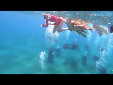 Thumbnail image for the video