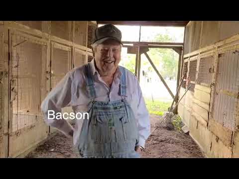 Entrevista a Jerry Wallace