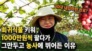 희귀식물 팔아 1000만원 벌다가 그만두고, 농사에 뛰어 든 여성농부 [농브라더스 2부] 포도농사