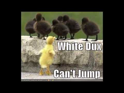 JUMP JUMP Vs JUMP JUMP - jump in Pain - House of Pain vs Kriss Kross