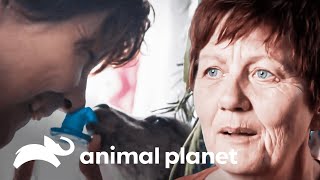 Thumbnail del capítulo