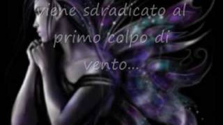 va dove ti porta il cuore