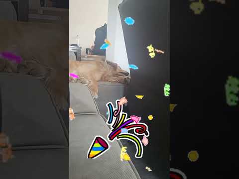 Naji and the genie lol