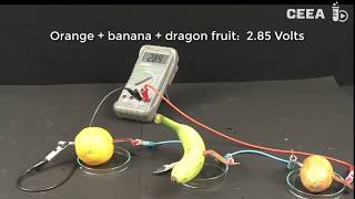 Download lagu The lemon battery mp3