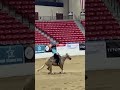 Horse showing in Las Vegas!