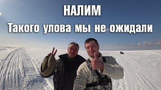 Пермский край рыбалка в контакте