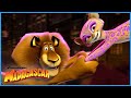 From Zoo To Circus Best Of Madagascar 3 DreamWorks Madagascar