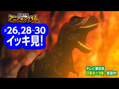 アニメ『冒険大陸 アニアキングダム』 26,28～30話まとめ動画☆見逃し配信☆動物と恐竜が暮らす不思議な大陸☆冒険バトル☆